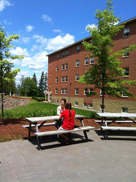 Unb Fredericton Accommodations Room photo